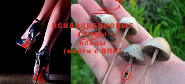 кристаллы Покачи